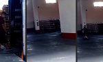 Funny Video : Effizienter arbeiten, nicht härter, und mit mehr Fun