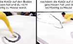 Movie : Die Kreisbahn der Verzweiflung