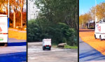 Funny Video : Autonomie endet am Bordstein