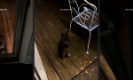 Funny Video : Jeden... gott..verdammten... Abend