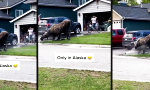 Funny Video : Mama, bitte nicht.