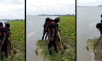 Lustiges Video - Vernunft ignoriert, Ufer reagiert