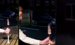 Funny Video - Der Anblick lässt ihn nicht los