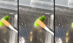 Movie : Eingebauter Rotor, Serie