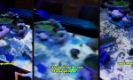 Movie : Wenn der Dungeon Master den Raum mitspielt