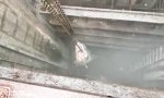 Ungeheuer aus dem Abwasser