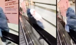 Der Hai, den die Rolltreppe nicht losließ