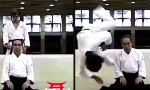 Ein offenes Ohr für Bullshido