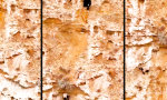 Lustiges Video : Was ein Tier wert ist, entscheidet die Wand
