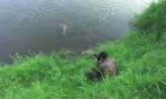 Funny Video : Kameramann vs Krokodil