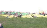 Cheeserolling 2013