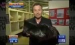 Funny Video : Reporter vs Huhn