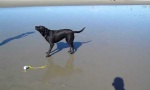 Lustiges Video - Spritz-Beller
