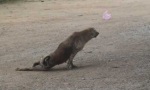 Funny Video - Not macht erfinderisch