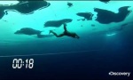 Movie : 76 Meter unter einer Eisdecke