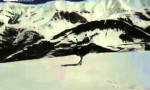 Lustiges Video : Pistenvogel